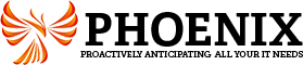 Phoenix North Group Inc.